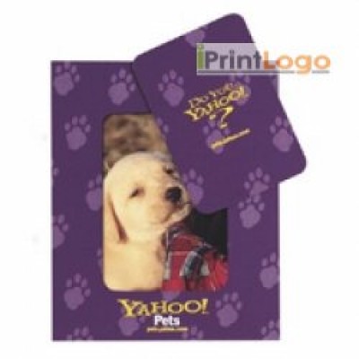 PICTURE FRAME-IGT-0398